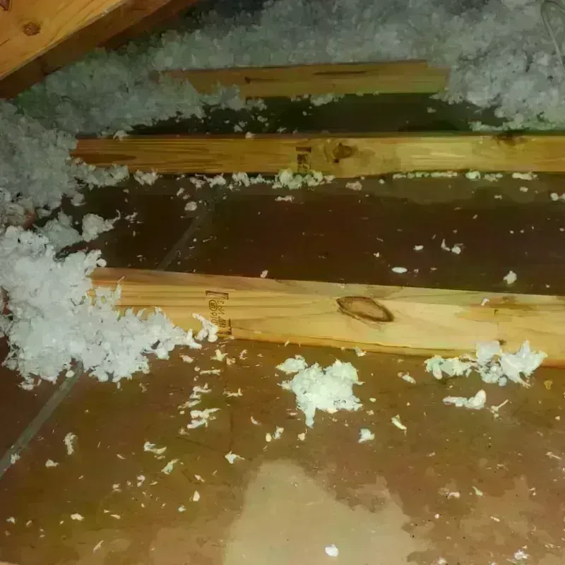 Attic Water Damage in Linn County, IA