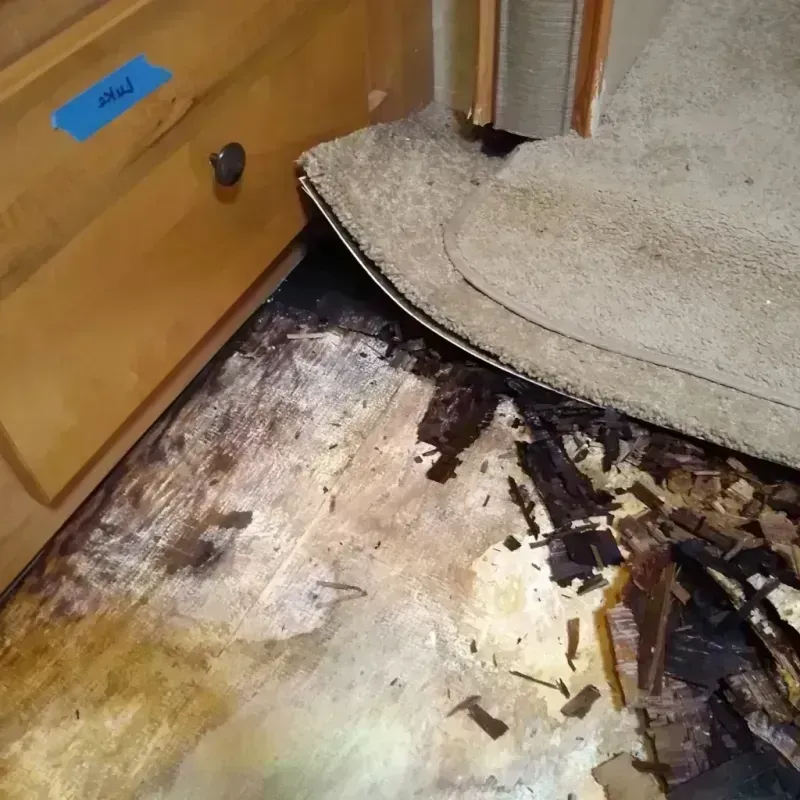 Best Wood Floor Water Damage Service in Linn County, IA